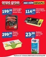 Anpa Gross 13 Haziran 2025 Kataloğu