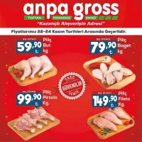 Anpa Gross 22 Kasım 2024 Et Kataloğu