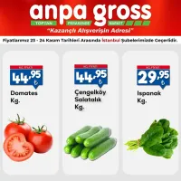 Anpa Gross 23 - 24 Kasım 2024 Istanbul Manav Indirim