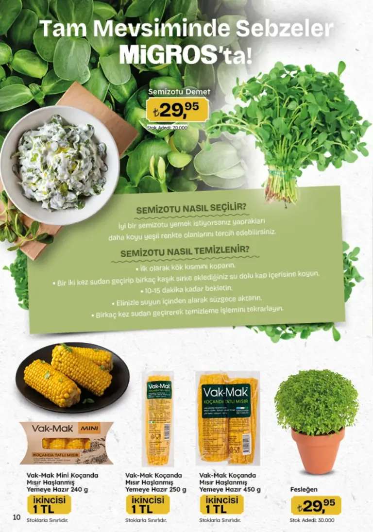 Migros 22 Mayıs 2025 Aktüel Kataloğu - Seite 10 von 92