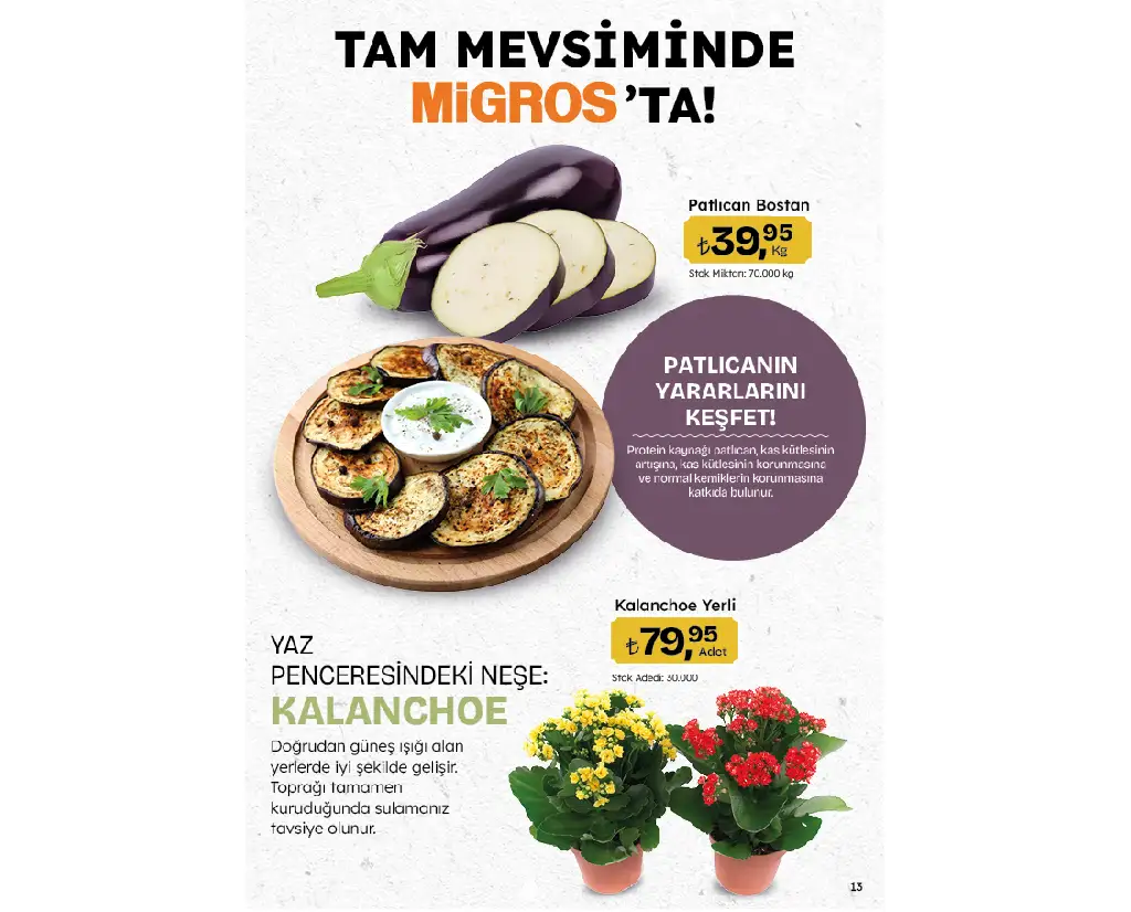 Migros 24 Temmuz 2025 Kataloğu - Sayfa 1