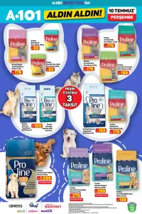 A101 10 Temmuz 2025 Proline Pet Mamaları ve Kedi Kumu Fırsatları
