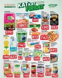Koop 15 Temmuz 2025 kataloğu