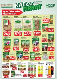 Koop 1 Temmuz 2025 kataloğu